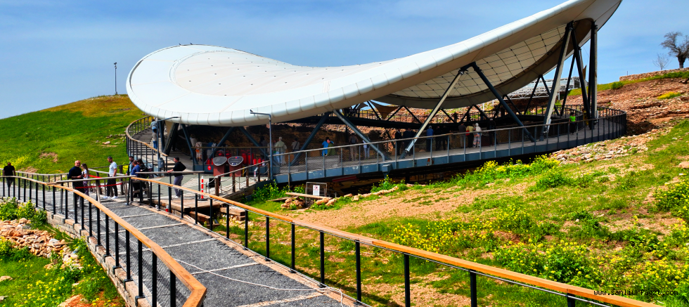 Göbeklitepe Yeşile Büründü