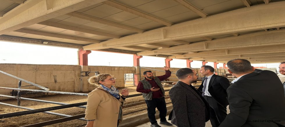 HARRAN ÜNİVERSİTESİ’NDEN BESİ OTB’YE İŞ BİRLİĞİ ZİYARETİ