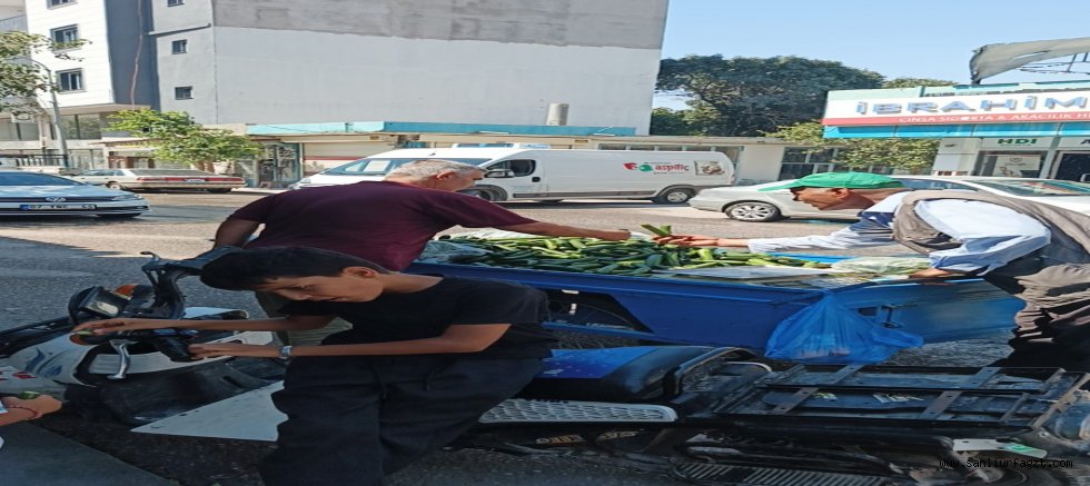 Sigarayı Bırak Salatalık Ye