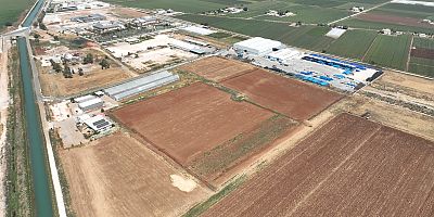 Şanlıurfa’da Tarihi Safran Yeniden Toprakla Buluşuyor