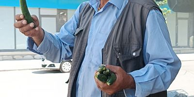 Sigarayı Bırak Salatalık Ye